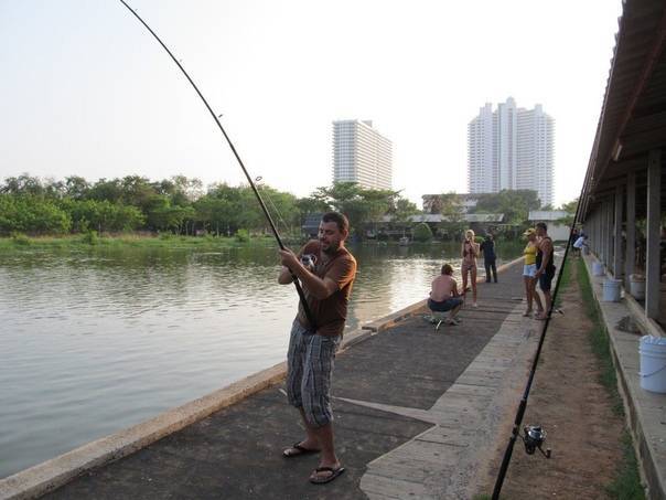 Рыбалка в тайланде – полезные советы туристам