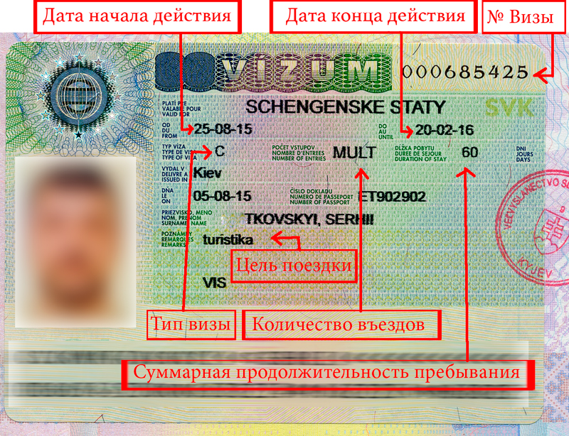 Шенгенская виза на 5 лет: как получить самостоятельно? советы