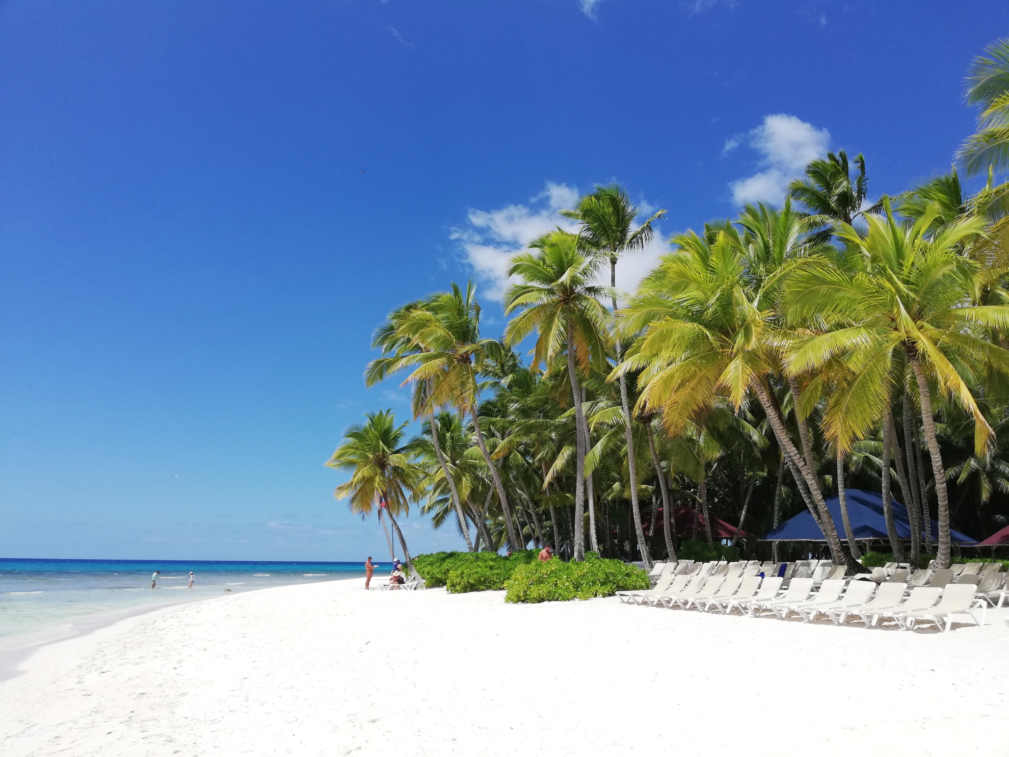 7 лучших курортов доминиканы - 2022