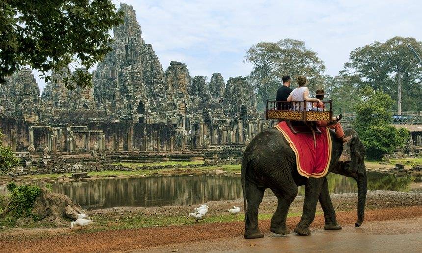 11 удивительных местных животных, которых вы должны увидеть в камбодже