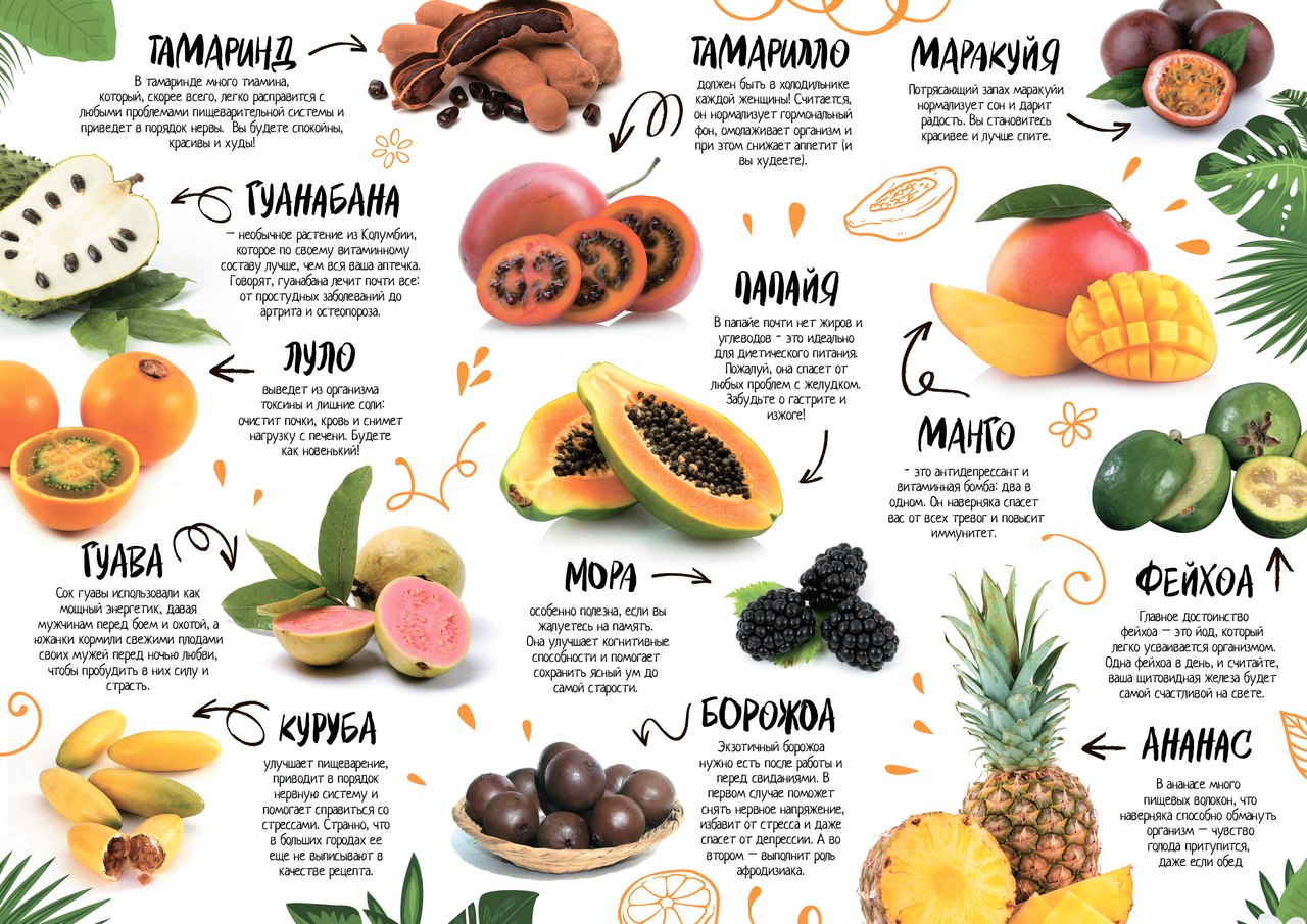 Экзотические фрукты и их названия