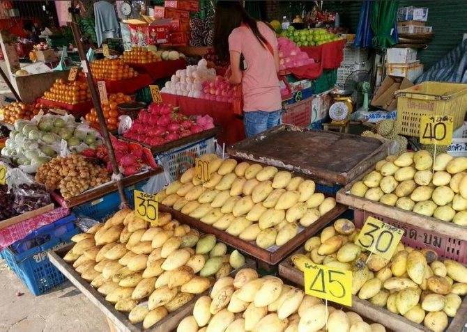 Топ-20 лучших фруктов тайланда: описания и особенности вкуса
