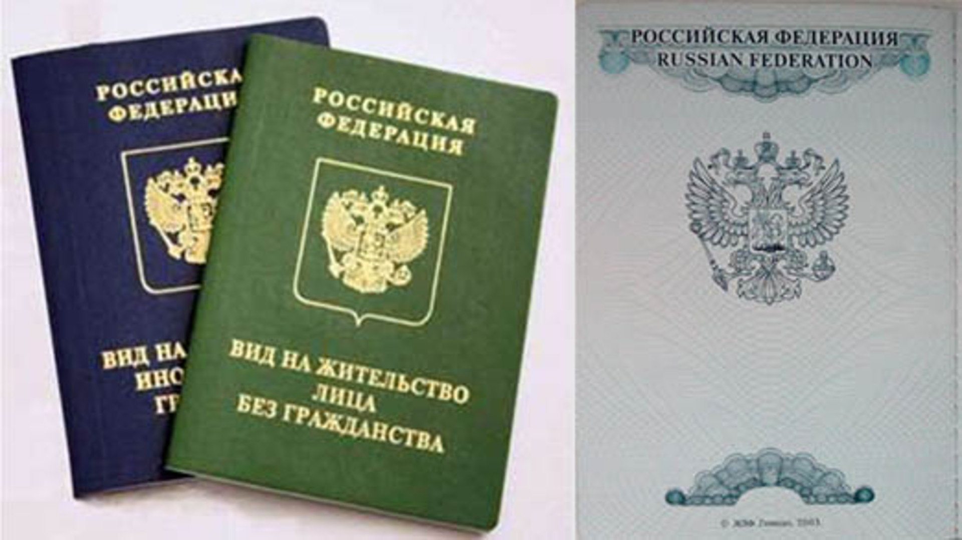 Пособие с внж. Вид на жительство. Вид на жительство иностранного гражданина. Временный вид на жительство в России.