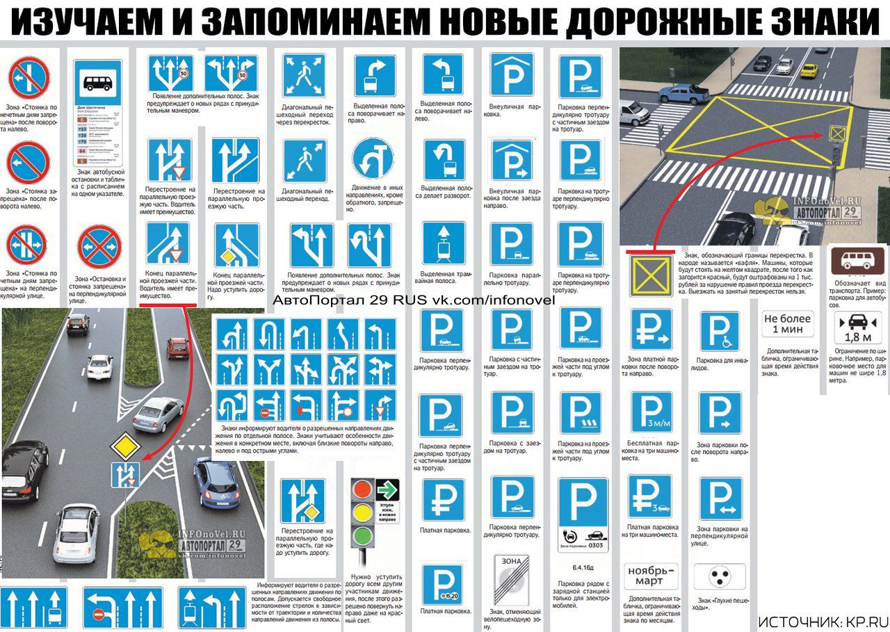 Правила дорожного движения для начинающих водителей с картинками