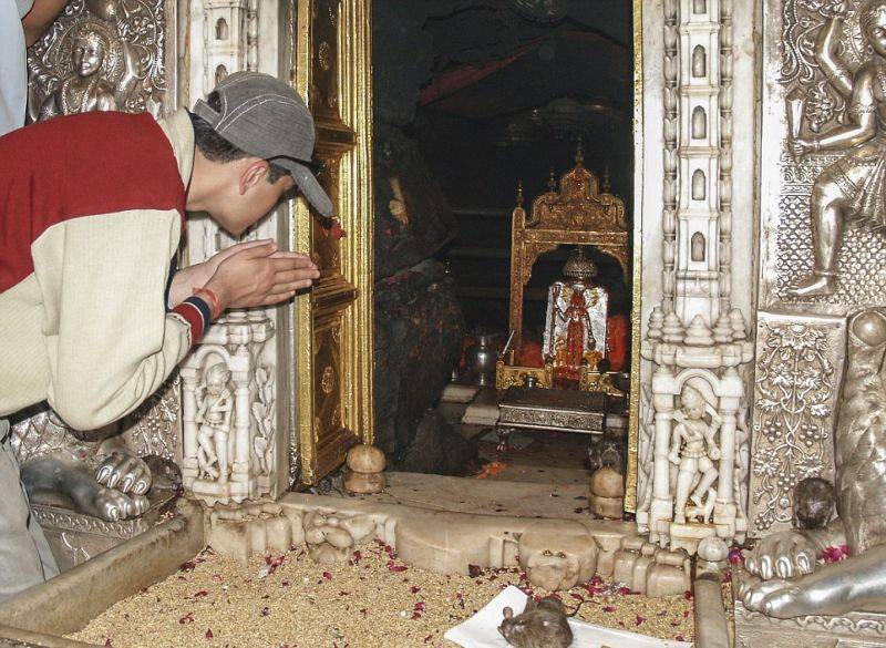 Храм для крыс в Индии