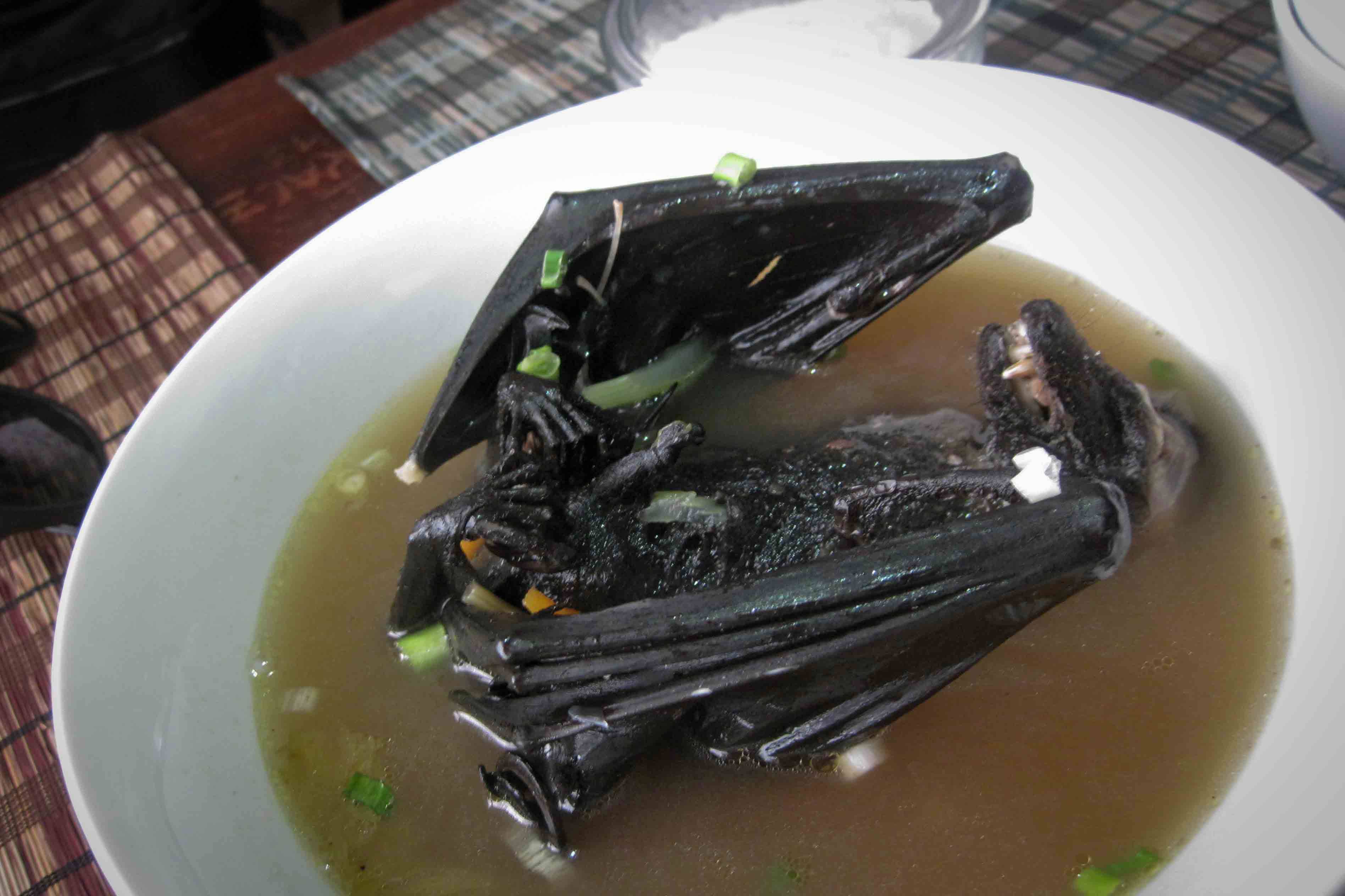 Китайское блюдо из летучих мышей