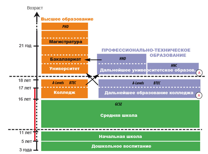 Система образования в россии схема на английском