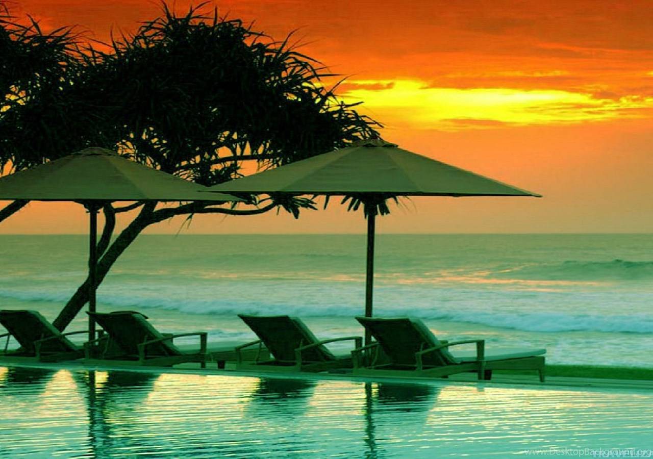 Шри-ланка - общая информация о лучших пляжах, о визе, об особенностях отдыха