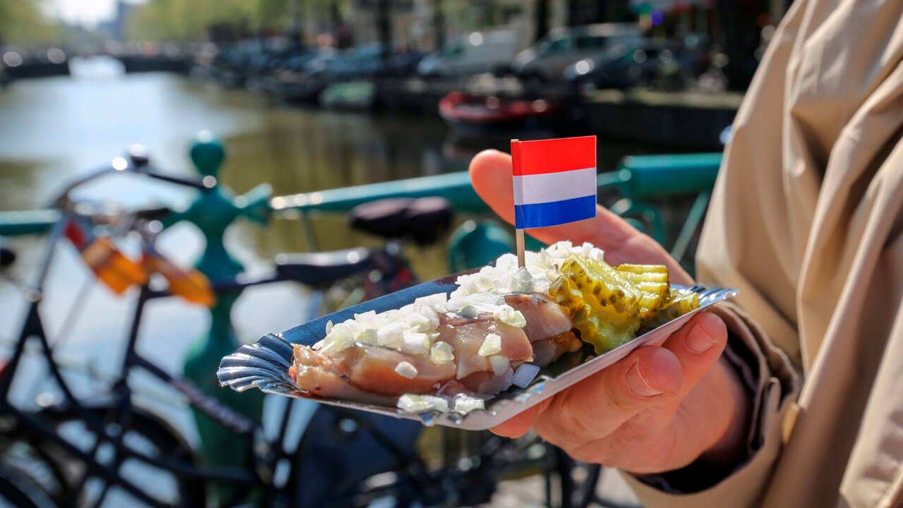 Где поесть самую вкусную селедку в амстердаме