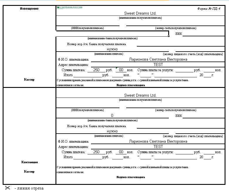 Образцы квитанций об оплате для физических лиц форма пд 4