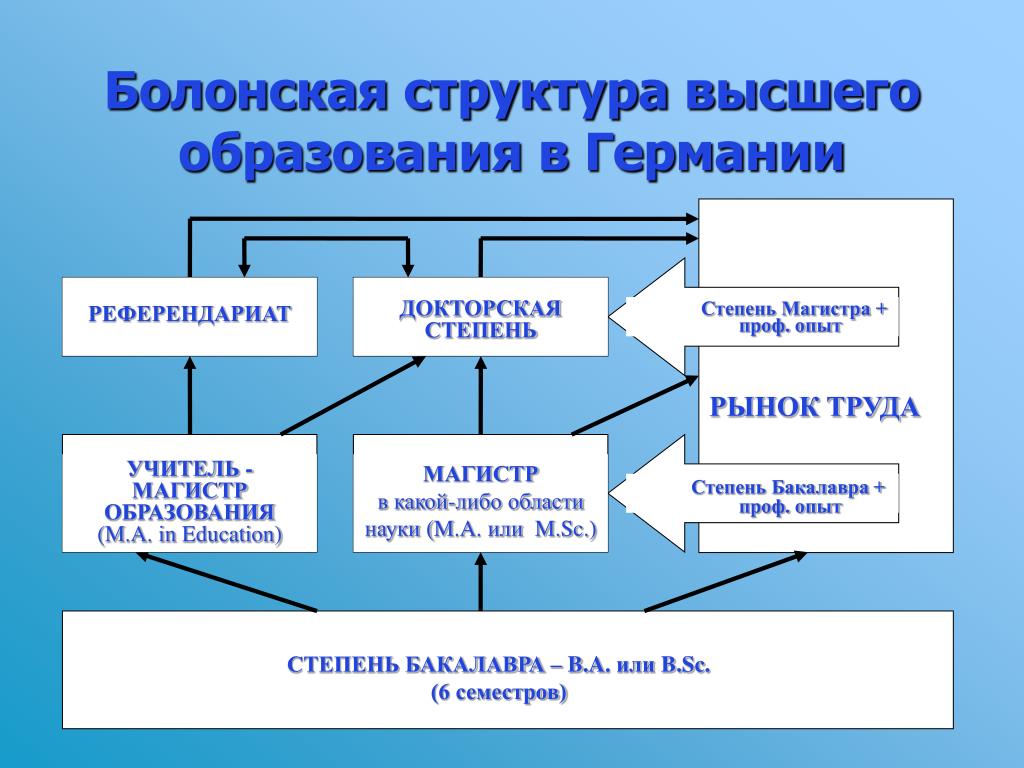 Структура высшего образования в россии схема