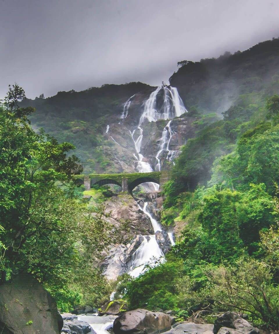 Как доехать до водопада дудхсагар на гоа, экскурсии к водопаду