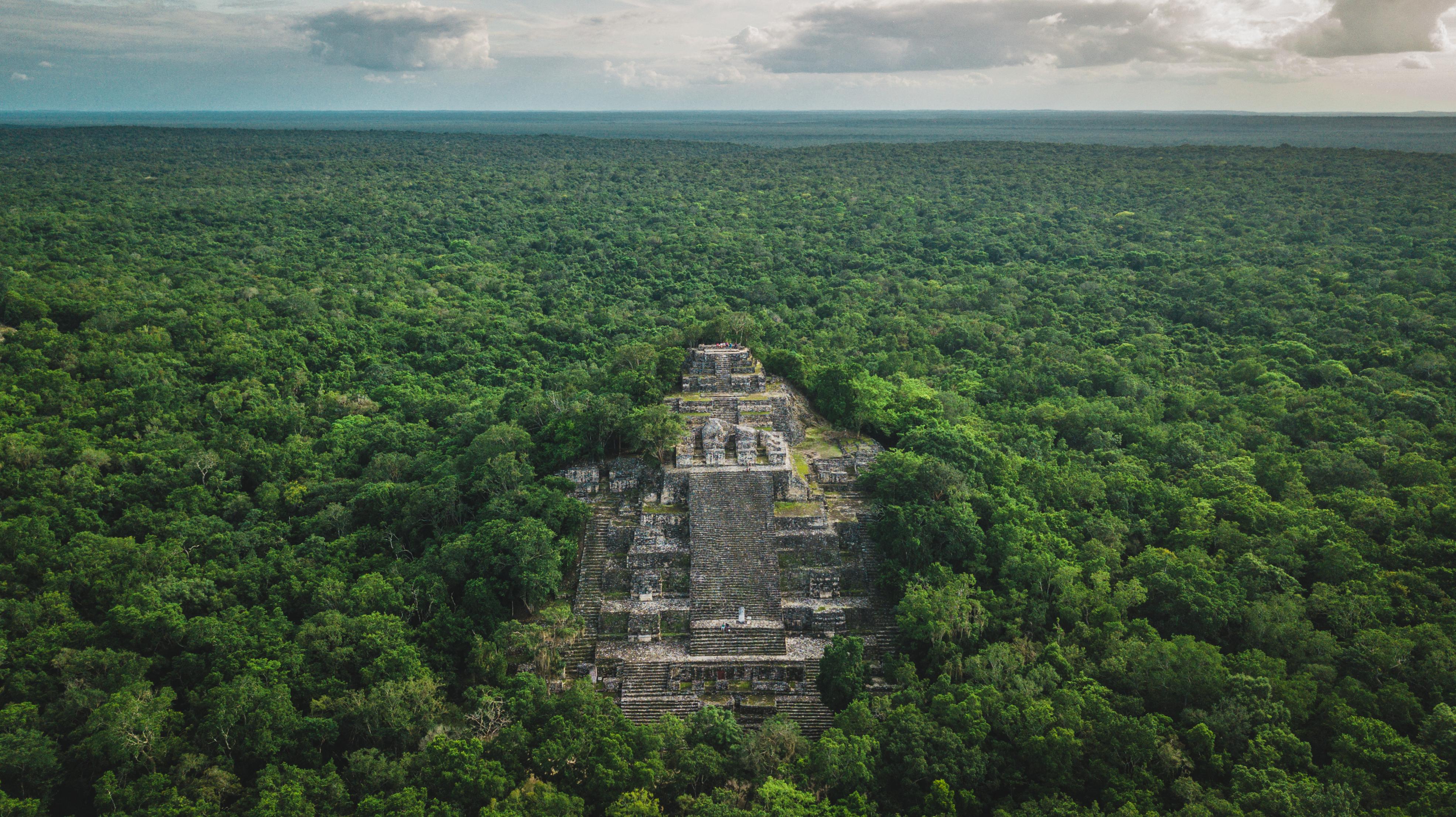 Жизнь на острове в джунглях. Пирамиды Калакмуль Мексика. Древний город Майя Калакмуль. Древний город Майя Калакмуль штат Кампече. Эль Мирадор город Майя.