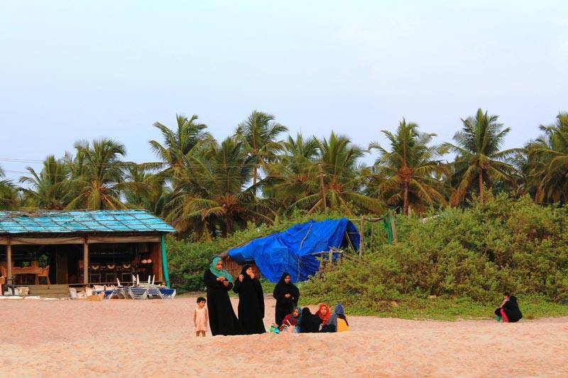 Лучшие пляжи на гоа: фото 10 самых потрясающих мест на юго-западе индии