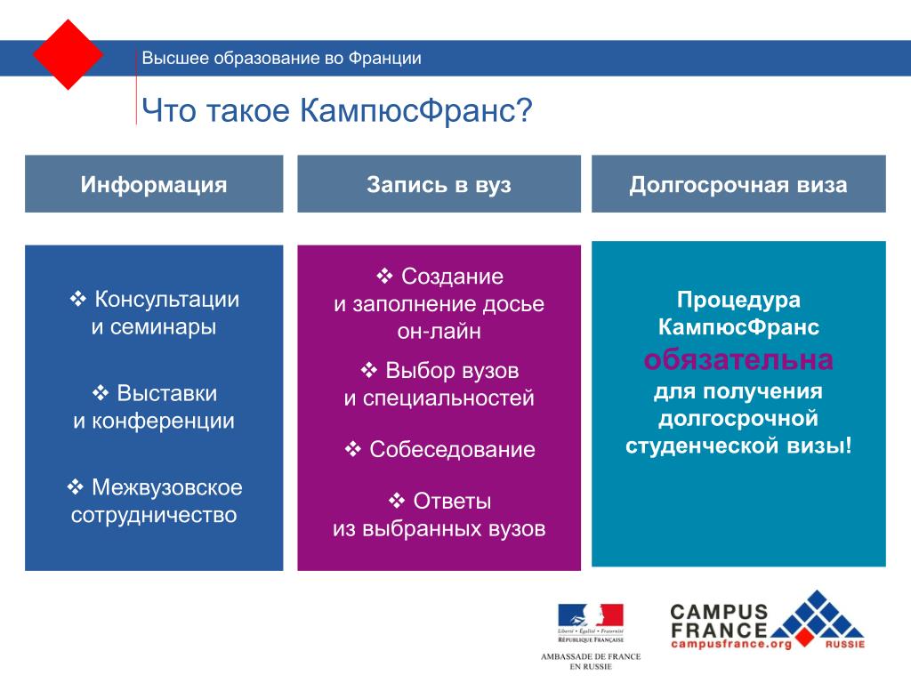 Проект образование во франции