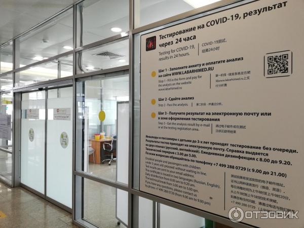 Тест пцр в аэропорту шереметьево: где быстрее и дешевле можно сделать тестирование на коронавирус