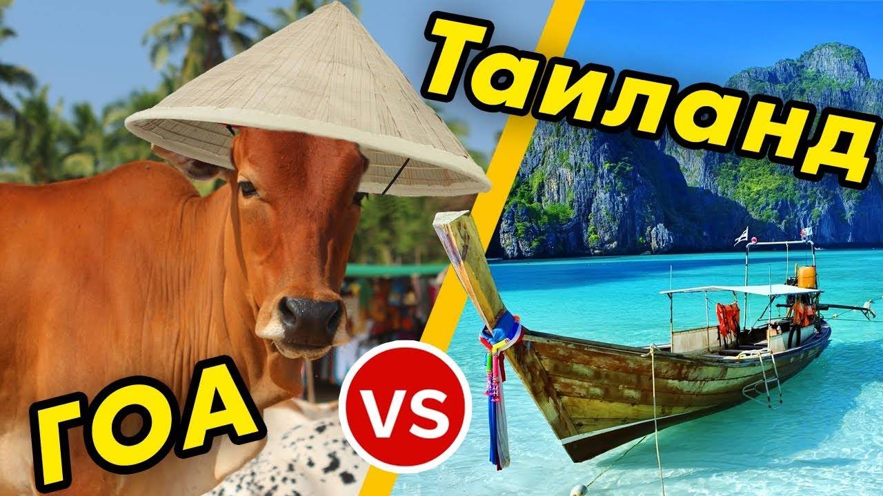 Два направления туристического рынка – гоа и вьетнам. что лучше?