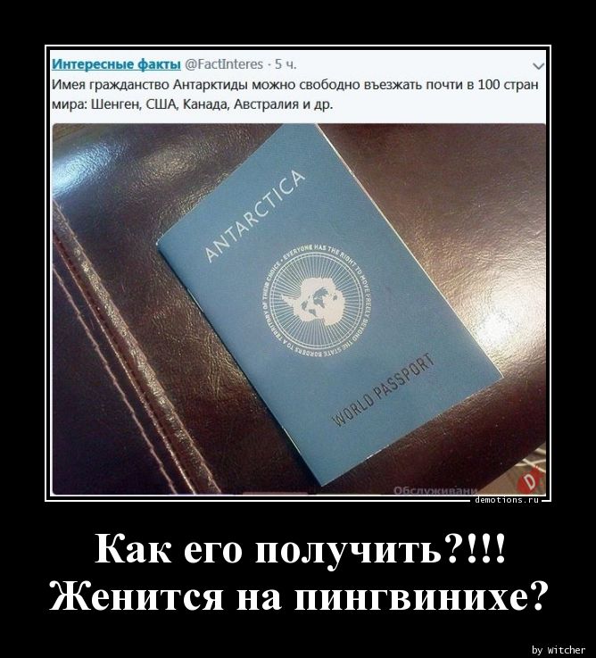 Паспорт антарктиды как получить. гражданство антарктиды: как получить и что оно дает