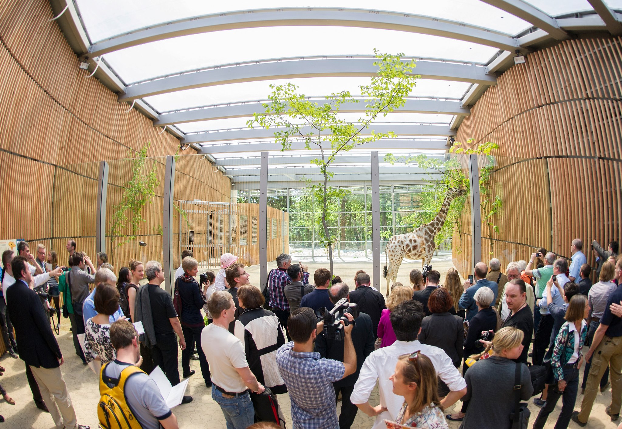 Берлинский зоопарк – на что смотрят 2,6 млн человек ежегодно