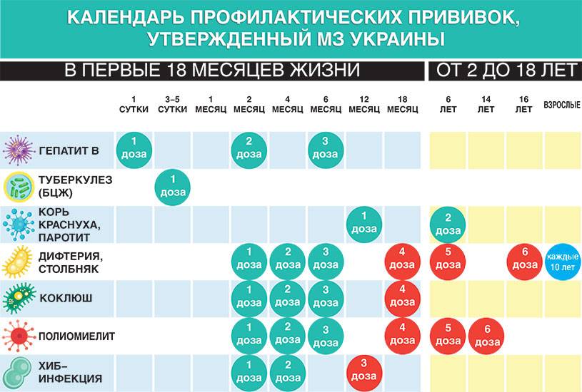 Прививки взрослым по возрасту. Хронология вакцин. Арабские эмираты календарь вакцинации.