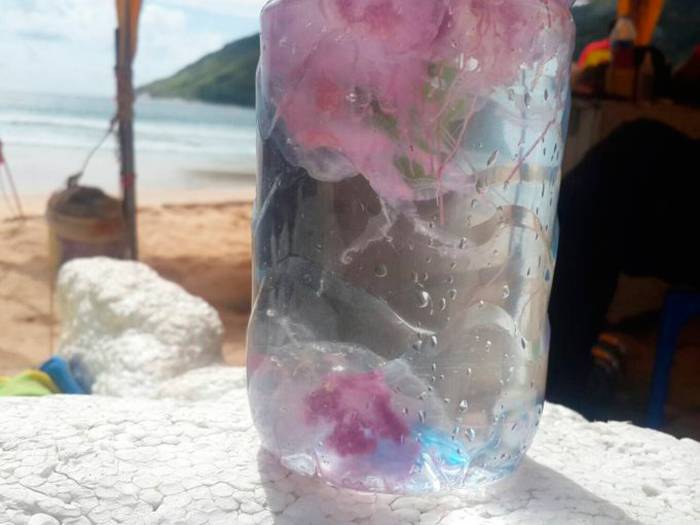 Как правильно избежать укуса медузы в тайланде