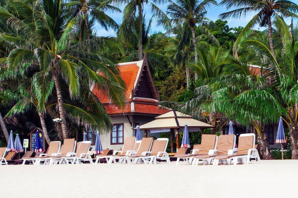 Самуи: пляж чавен ной отели. обзор, описание, фото, стоимость, где забронировать