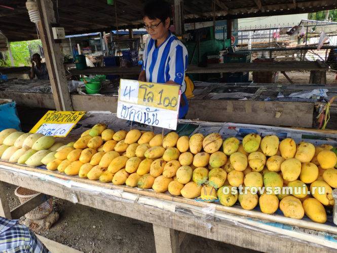 Билет бангкок самуи. Манго Вьетнам. Манго на рынке. Рынок в Хуахине. Таиланд рынок манго.