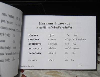 Тайский язык. разговорник для туристов. главное, что нужно знать