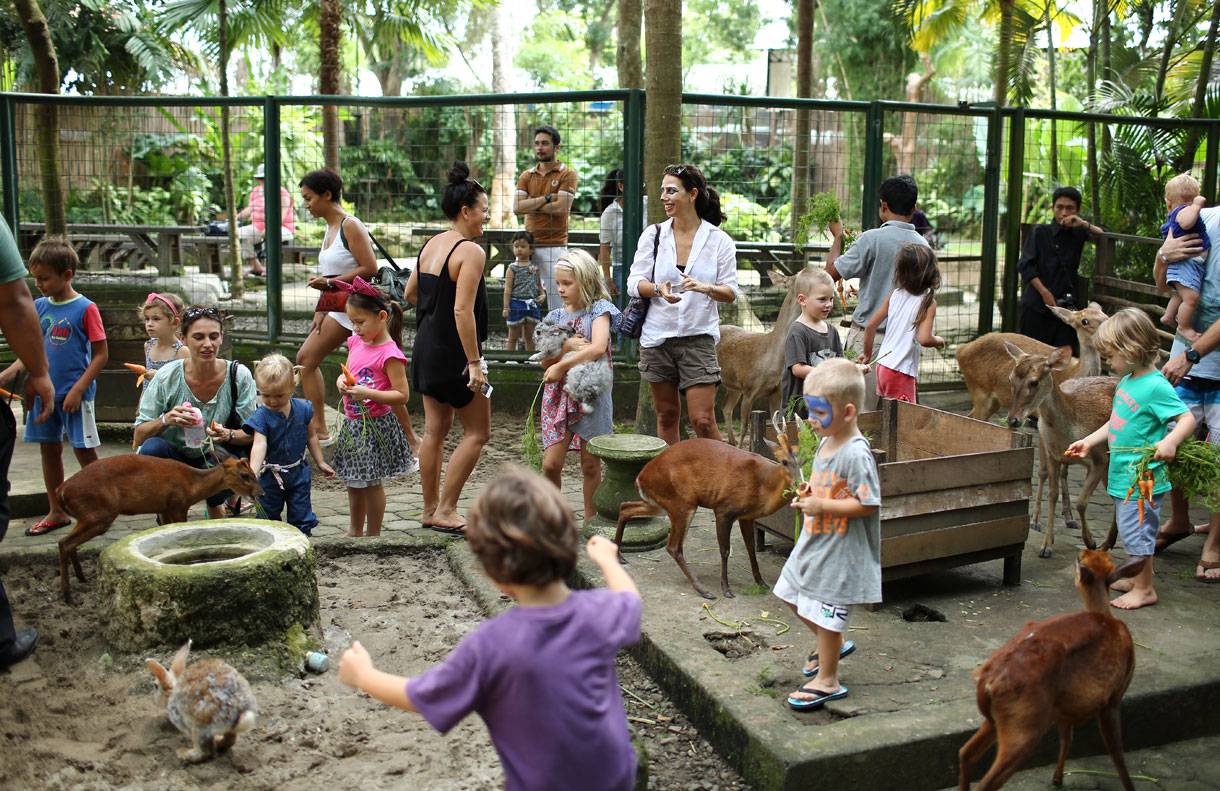 Зоопарк (сафари-парк) «балу» в анапе: описание, фото, отзывы
