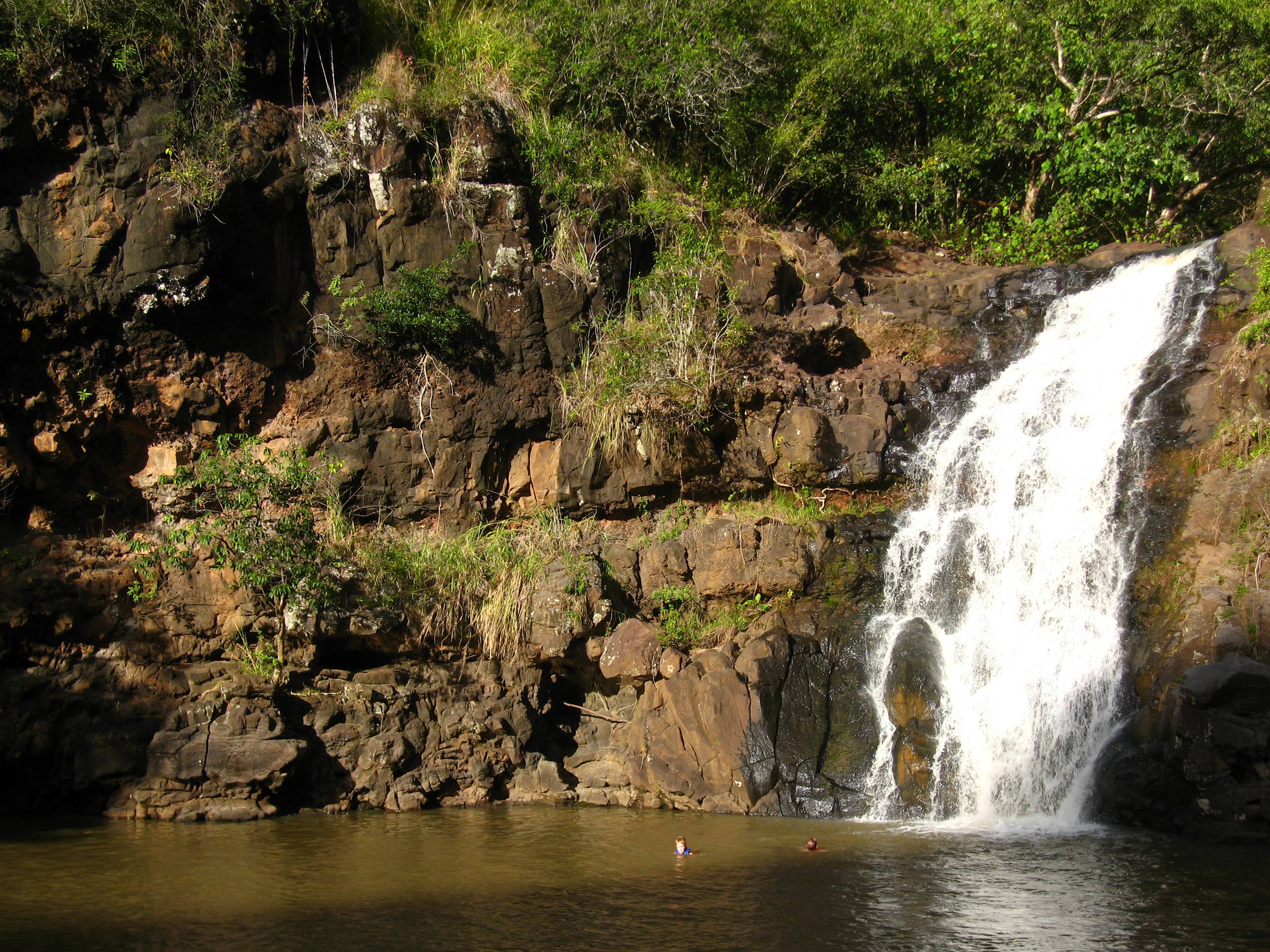 Самые высокие и красивые водопады на острове шри-ланка