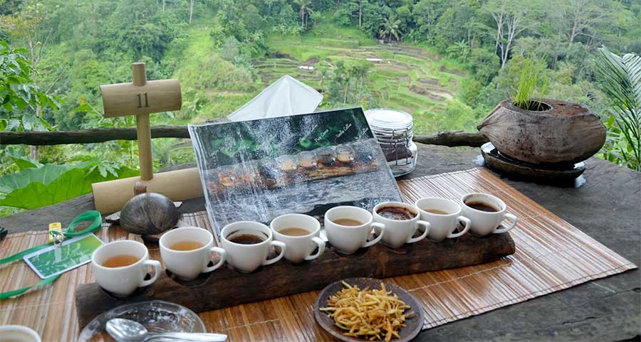 Кофейные плантации satria coffee plantation на бали
