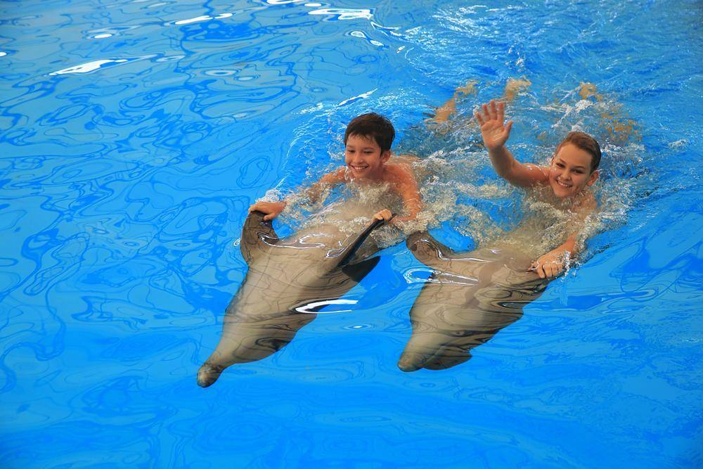 Дельфинарий dolphinarium