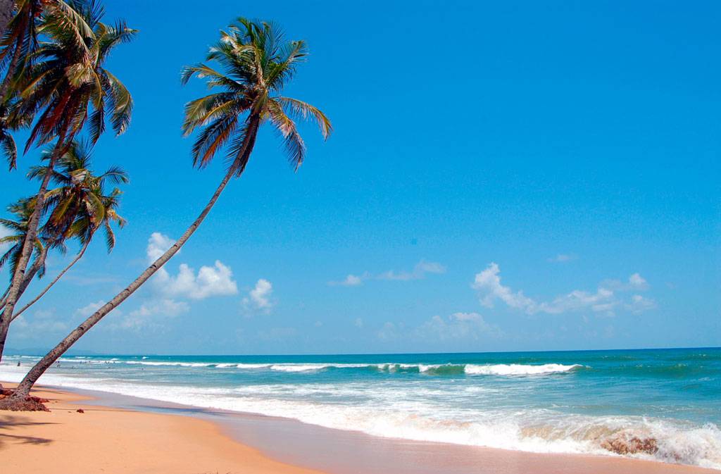 Красивые пляжи южного гоа: фото и описание, лучший пляж агонда
