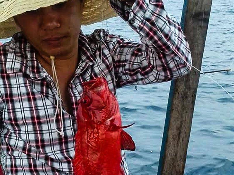Рыбалка во вьетнаме. где, как, чем ловить рыбу во вьетнаме, отзывы о рыбалке
