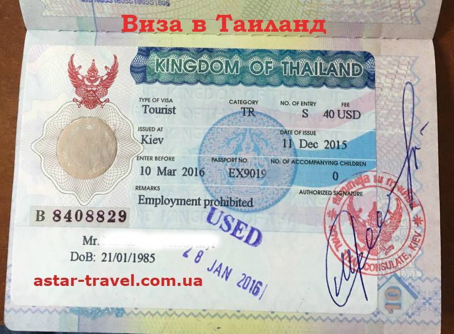 Виза в таиланд для россиян в 2020 году