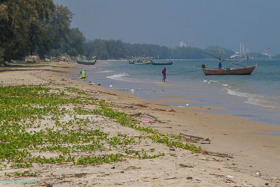 Пляжи ко тао: фото лучших пляжей острова, видео, описание и отзыв - 2021