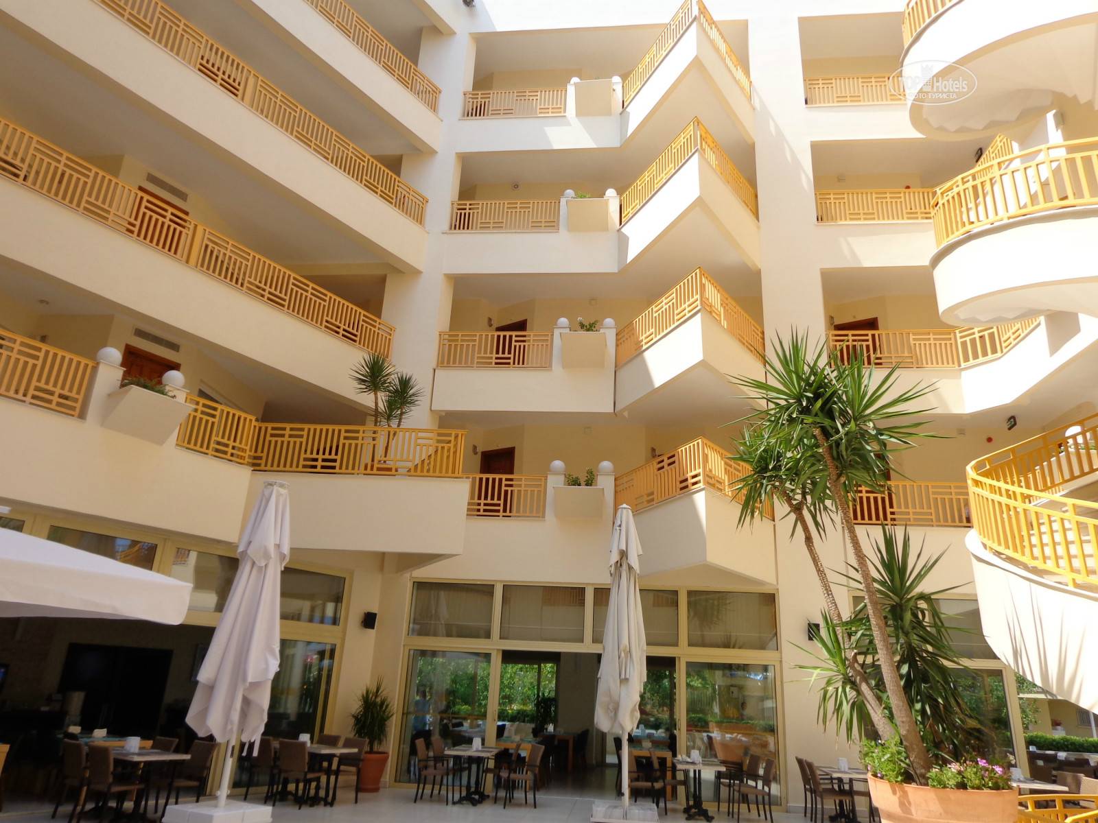 Отель golden lotus hotel 2** (нячанг / вьетнам) - отзывы туристов о гостинице описание номеров с фото