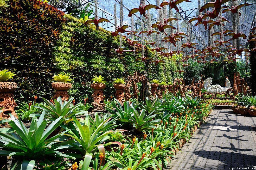 Тропический сад «нонг нуч» в паттайе
