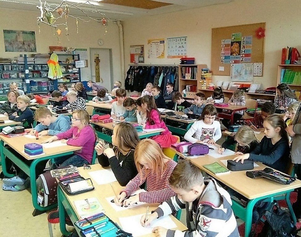Система образования в германии: высшее, школьное и дошкольное обучение