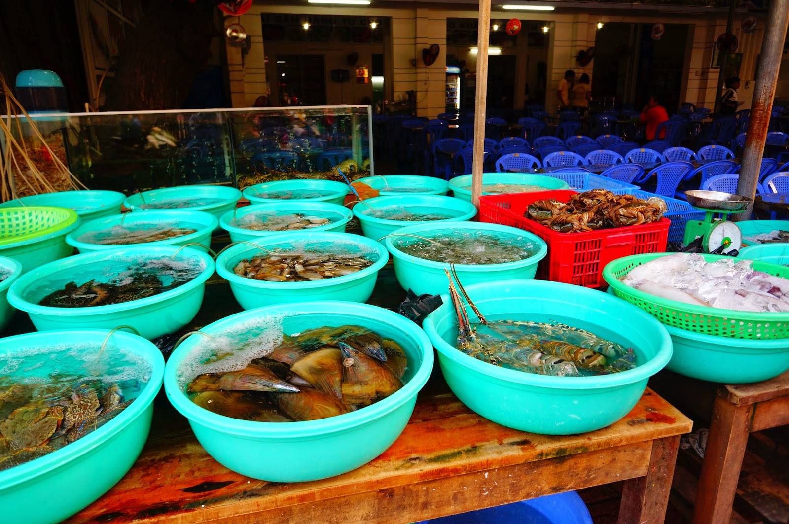 Морепродукты в нячанге: где поесть и что важно знать