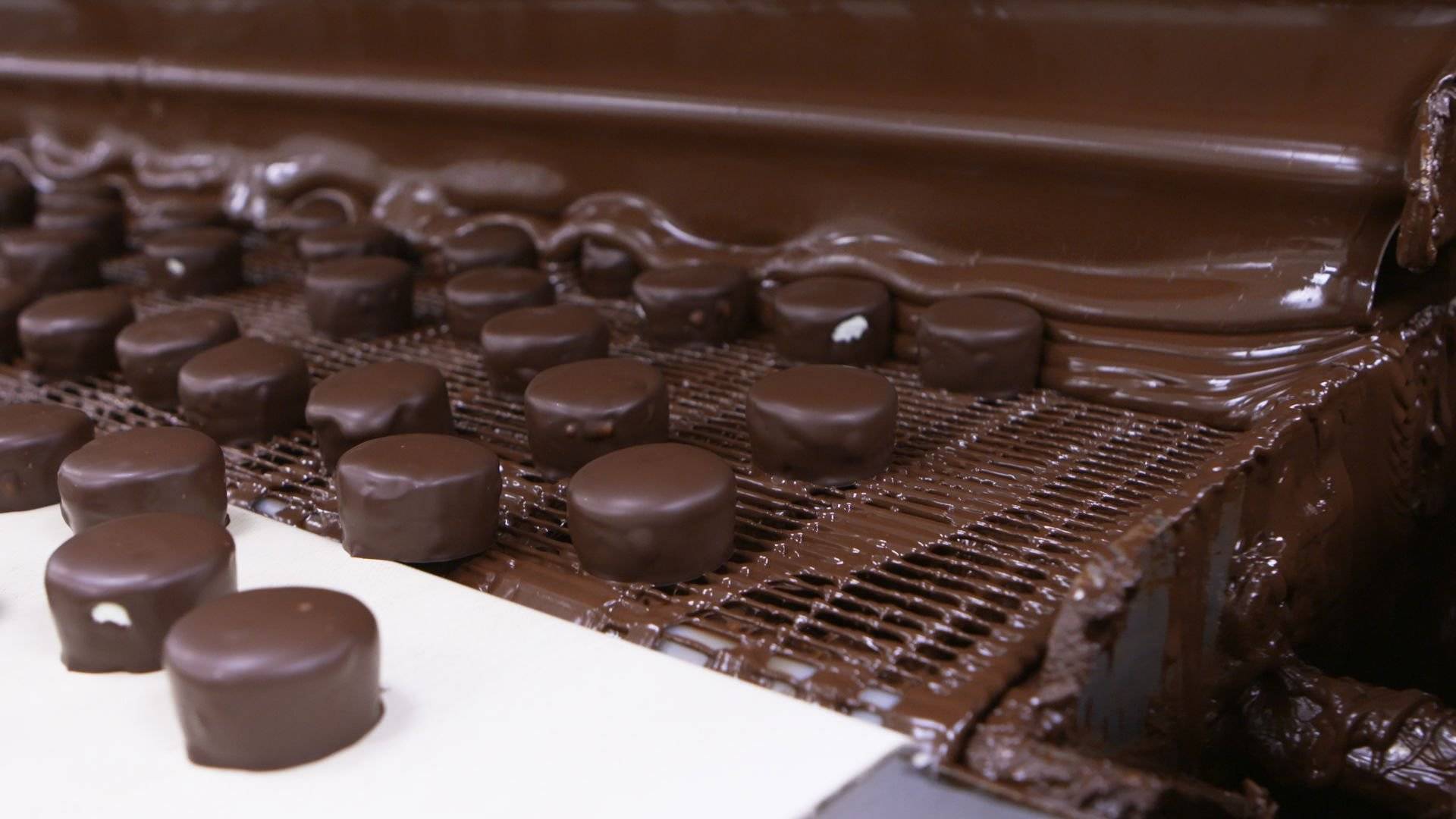 Как открыть свое шоколадное ателье с годовым оборотом в 2,8 млн рублей - «жажда» - бизнес-журнал