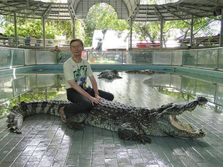 Крокодиловая ферма в провинции самутпракан, бангкок, таиланд. отели рядом на карте, отзывы, фото, видео, как добраться — туристер.ру