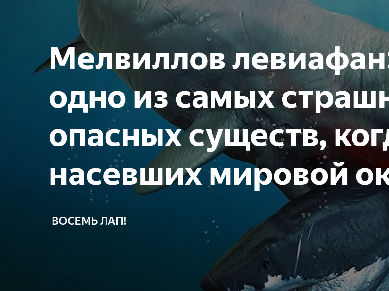 6 самых ужасных трущоб мира