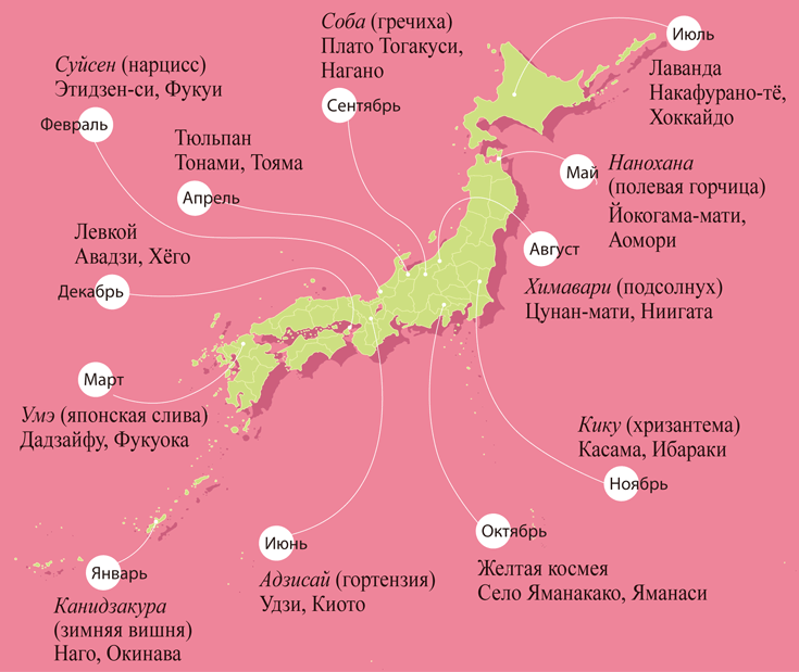 Карта японии фукуока