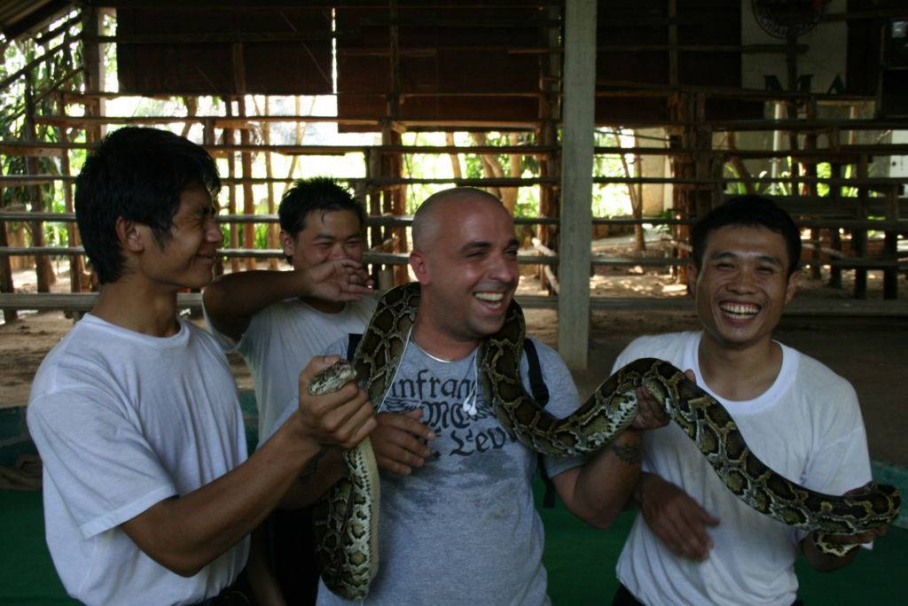 Змеи в тайланде: я встретил 6 штук
