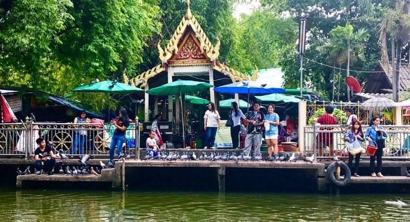 Экскурсия в бангкок из паттайи: программа, нестандартные экскурсии, стоимость.