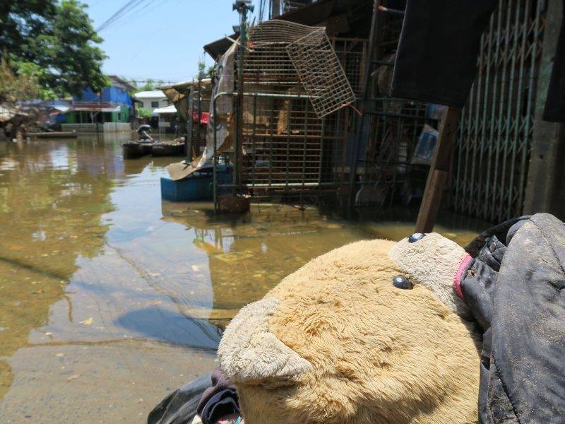 Бояться ли цунами в тайланде?