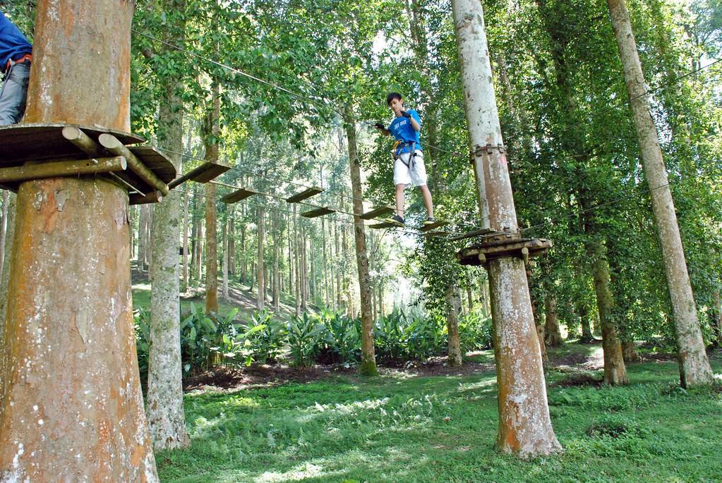Bali treetop adventure park bedugul – harga tiket murah domestik