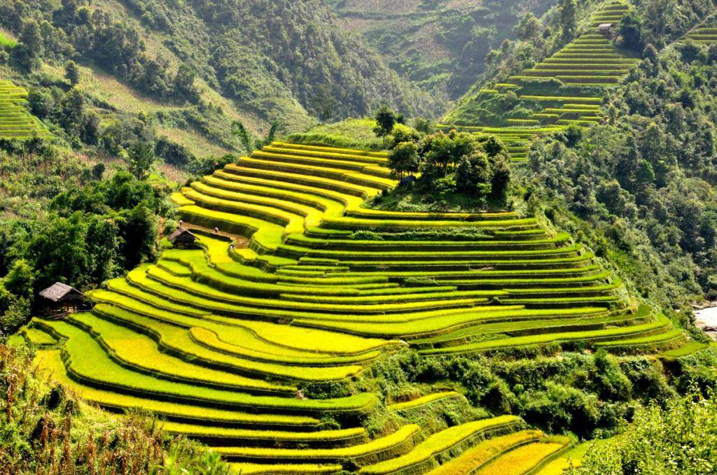 Высоко в горах вьетнама: экскурсия по канатной дороге на бана (ba na hills)