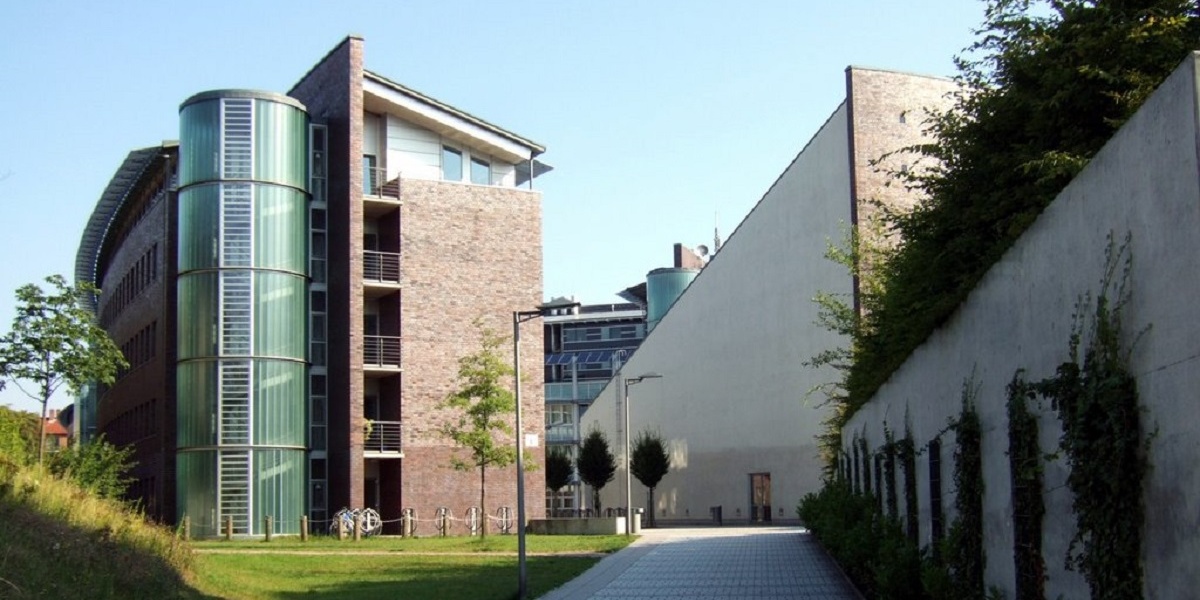 Гамбургский университет - university of hamburg